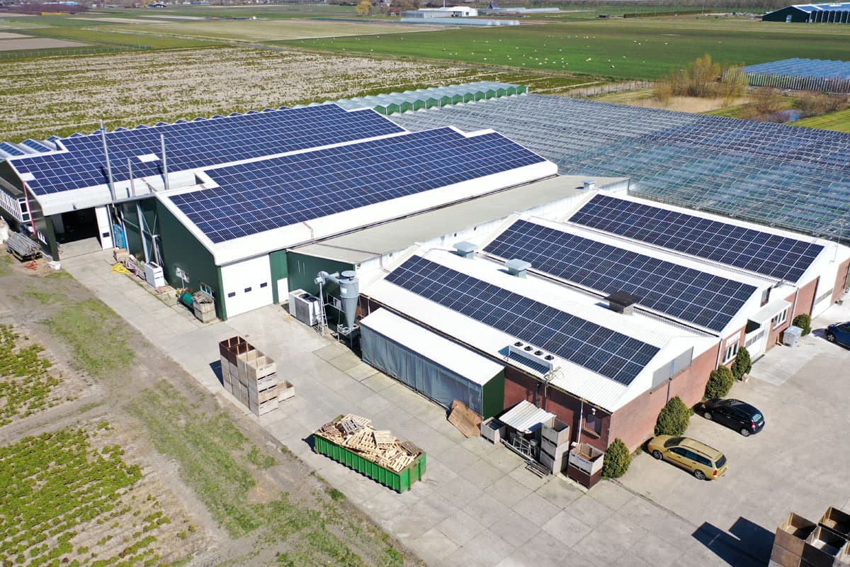 Soluciones en energía solar fotovoltaica
